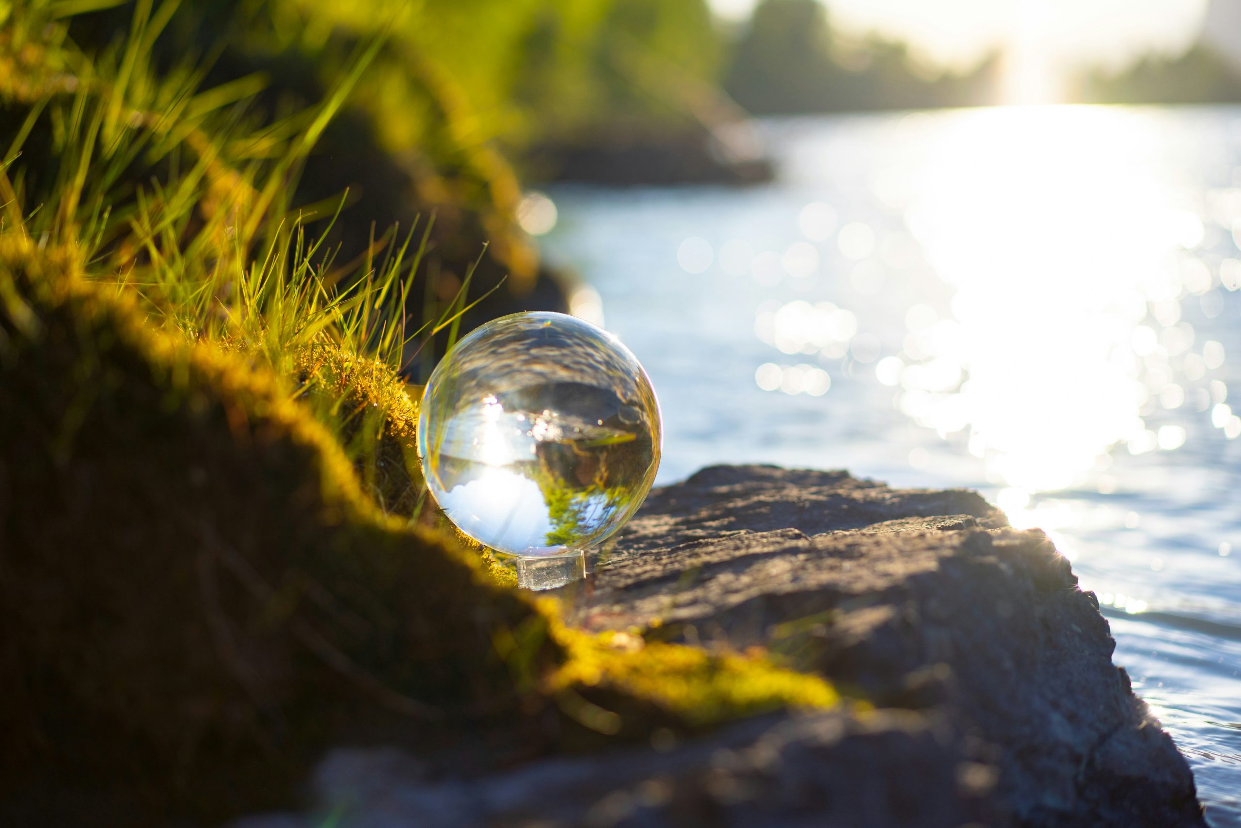 NetCero‑Webinar zu Nachhaltigkeitskommunikation und Berichtswesen